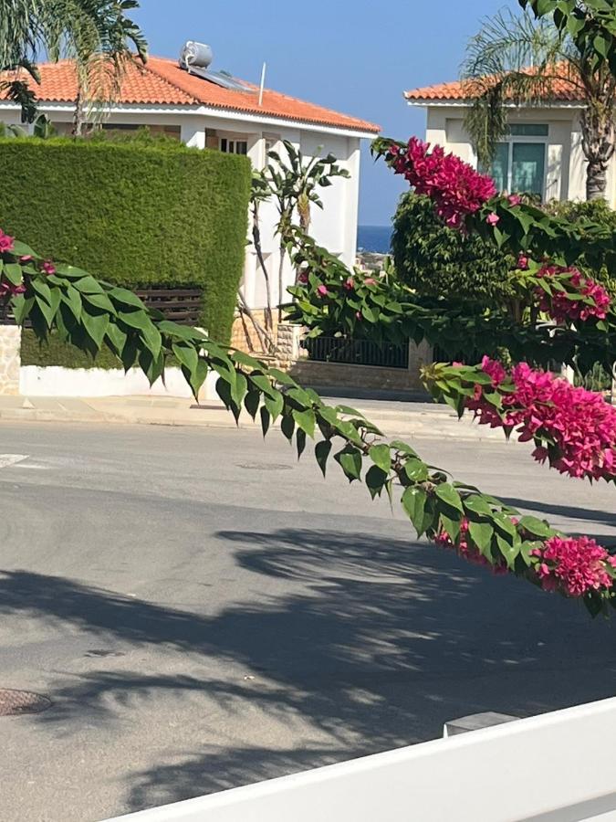 Zoe'S Villa By Turtle Bay بروتاراس المظهر الخارجي الصورة