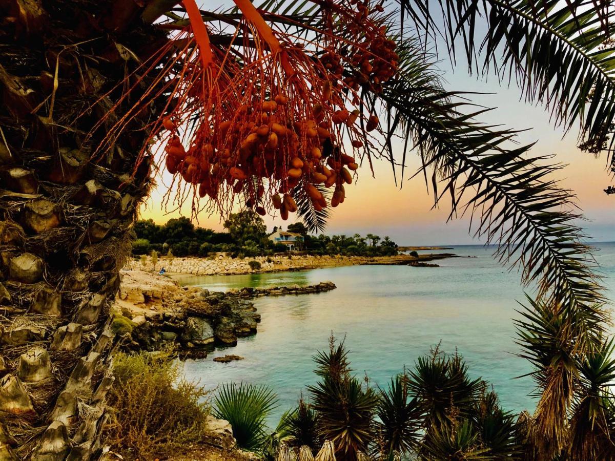 Zoe'S Villa By Turtle Bay بروتاراس المظهر الخارجي الصورة
